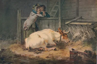 Courtship in a Cowshed