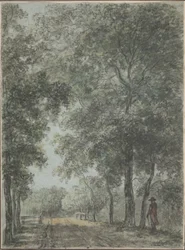 A Wooded Path at Treslong, near Hillegom