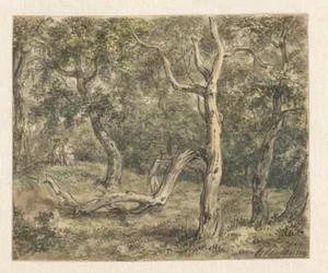 A couple seated in the woods