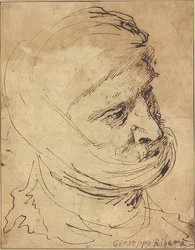 Bearded Head with Cloth Tied Around the Chin