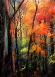 Autumn Forest Glow