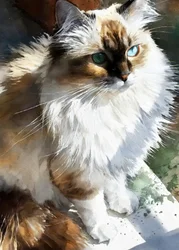 Bright Eyed Watercolor Cat