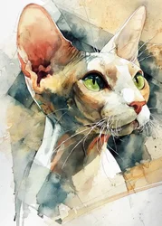 Green Eyed Sphynx Cat