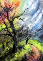Path Through Seasons