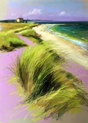 Vibrant Beach Dunes