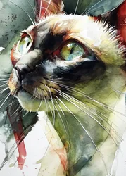 Vibrant Siamese Cat Gaze