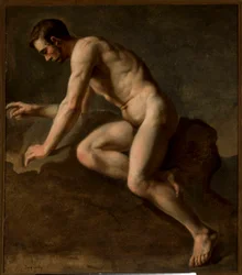 Male nude study