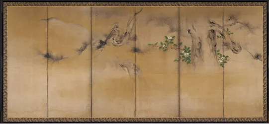 Winter and Summer Flowers