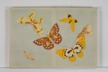 A Thousand Kinds of Butterflies, Volume 1