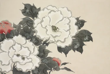 Flowers from Momoyogusa