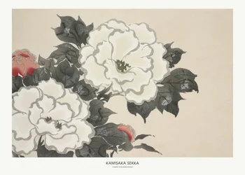 Flowers from Momoyogusa