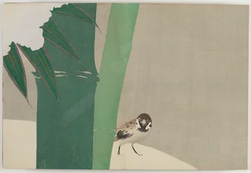 Flowers of a Hundred Worlds (Momoyogusa): Bamboo in Snow
