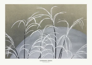 Frost from Momoyogusa