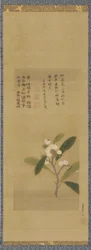 A branch of loquats, Edo period