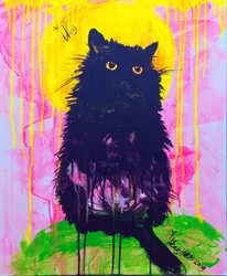 Mystic Black Cat