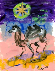 Starry Desert Camel