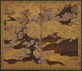 Blossoming Cherry Trees