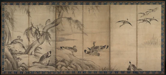 Wild Geese, Late 1500s-Early 1600s