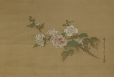 A branch of flowering hibiscus, Edo Period