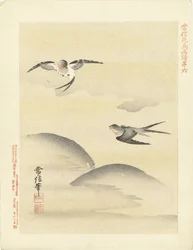 Two Swallows