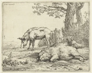 Three pigs by a hedge