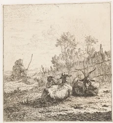 Goat and Two Sheep (Animals)