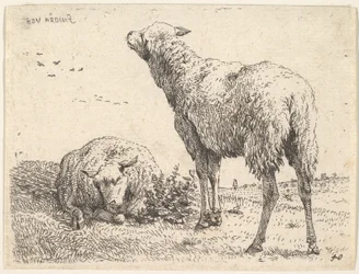 Two Sheep, One Shown Frontally in a Reclining Position with Its Legs Folded Underneath, ca. 1655