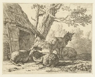 Four Sheep