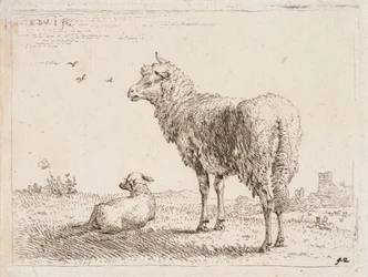 Sheep with Lamb