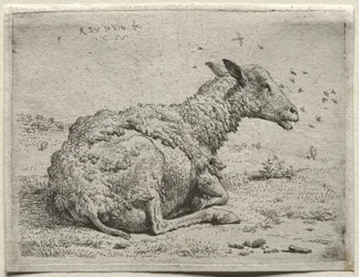 The Sheep and the Flies