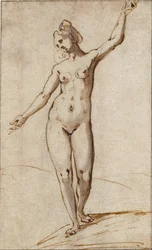 Female Nude