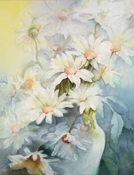 Chrysanthemum, Snowcap
