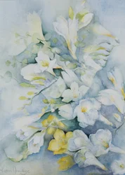 Freesia Eldus, Giant White