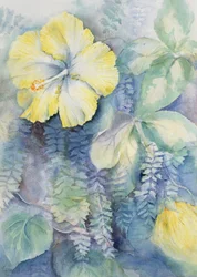 Hibiscus, Yellow