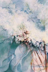 Lilac, Maud Norcut