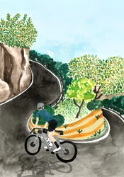 Scenic Mountain Cycling