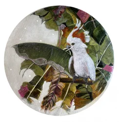 White Cockatoo In Jungle