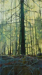 Ethereal Forest Light