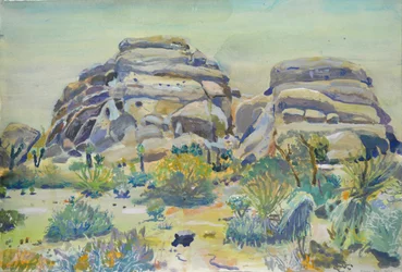 Joshua Tree Landscape
