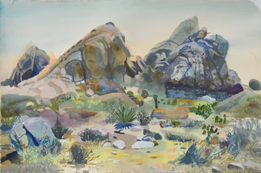 Southwest Desert Rocks