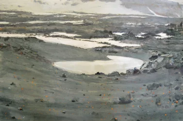 Stark Tundra Landscape