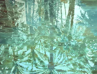 Winter Forest Reflection