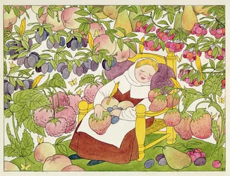 Illustration from 