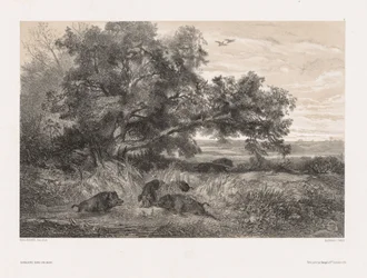 Animals and Landscape after Nature: Wild Boar in a Pond