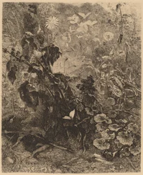Snails and Butterflies