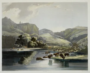 Herds of Bison and Elk on the Upper Missouri, plate 47 from Volume 2 of 