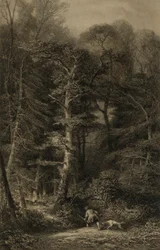 Interior of Forest