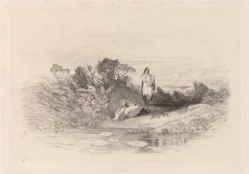 The Two Herons