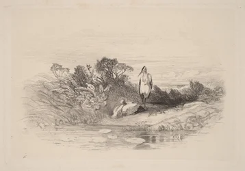 The Two Herons