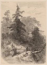 The Pheasants